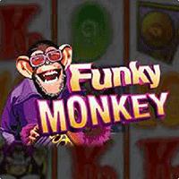 Funky Monkey